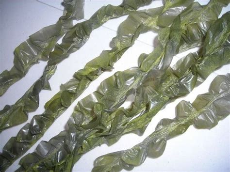 fake seaweed from trash bags|faux sea weed halloween.